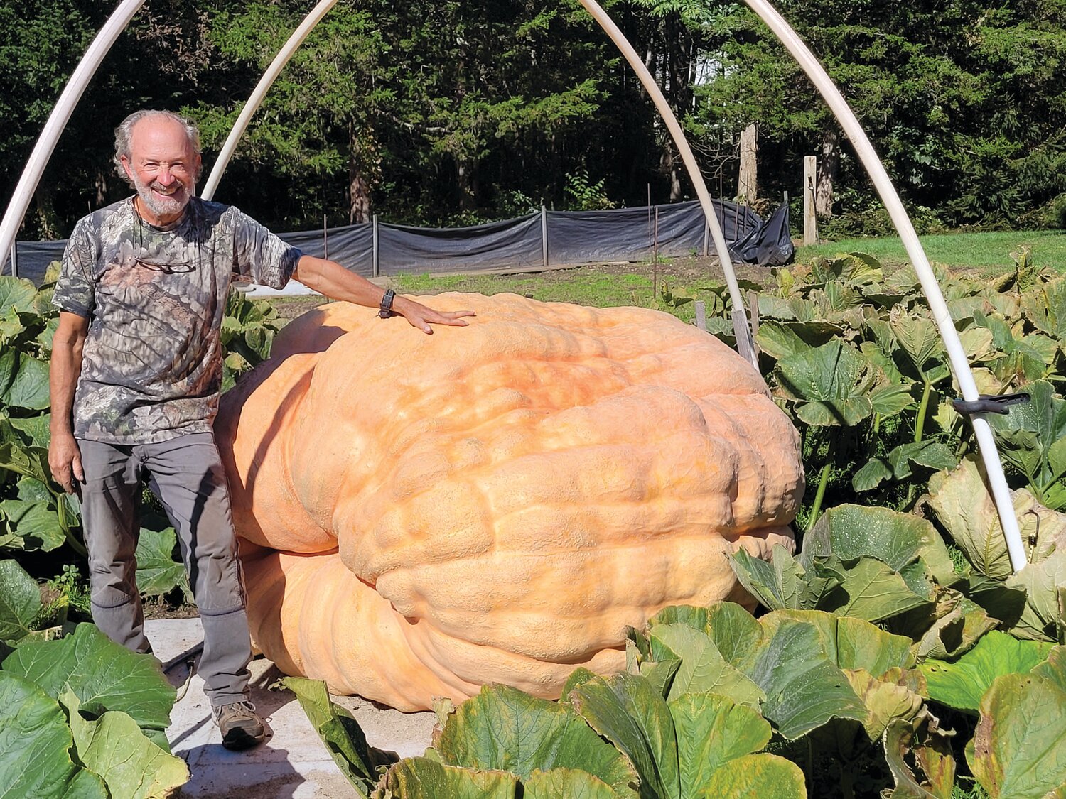 LA ULTIMA PEPO: Steve Sperry had one more monster to harvest. “The big one, I hope,” he said earlier this week. The final harvest and weigh-in is planned for this weekend. Only then will he know where his giant pumpkin-growing skills rank in the world.